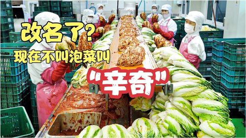 雨軒齋清真食品 堅(jiān)守“辛奇”品質(zhì)，踐行HACCP最高衛(wèi)生標(biāo)準(zhǔn)