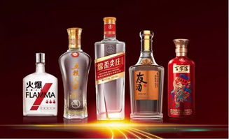 朋友圈再次擴(kuò)大 時(shí)代汽車(chē)與五糧液系列酒公司達(dá)成戰(zhàn)略合作共識(shí)，共拓跨界食品銷(xiāo)售新路徑